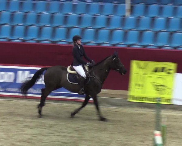 Reitturnier Neustadt/Dosse - Lindenau-Halle 2020