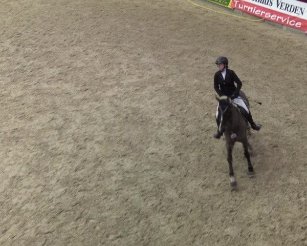 Reitturnier Neustadt/Dosse - Lindenau-Halle 2020