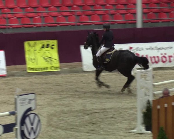 Reitturnier Neustadt/Dosse - Lindenau-Halle 2020