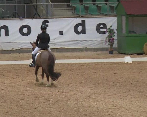 Reitturnier Kreuth/Opf. 2020