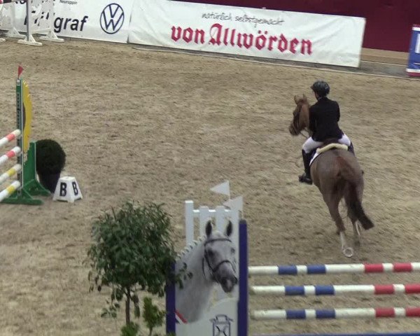 Reitturnier Neustadt/Dosse - Lindenau-Halle 2020