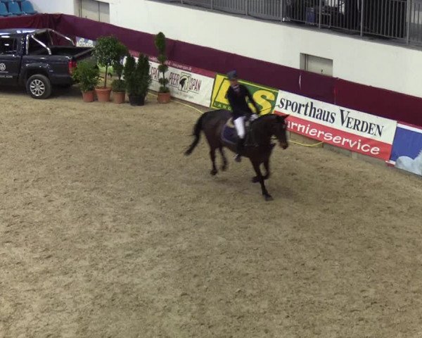 Reitturnier Neustadt/Dosse - Lindenau-Halle 2020