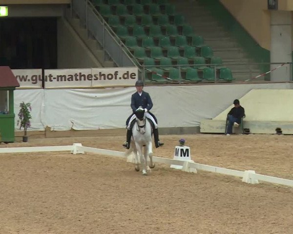 Reitturnier Kreuth/Opf. 2020