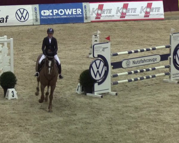 Reitturnier Neustadt/Dosse - Lindenau-Halle 2020
