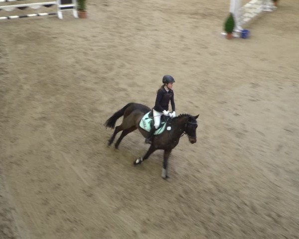 Reitturnier Elmshorn 2020