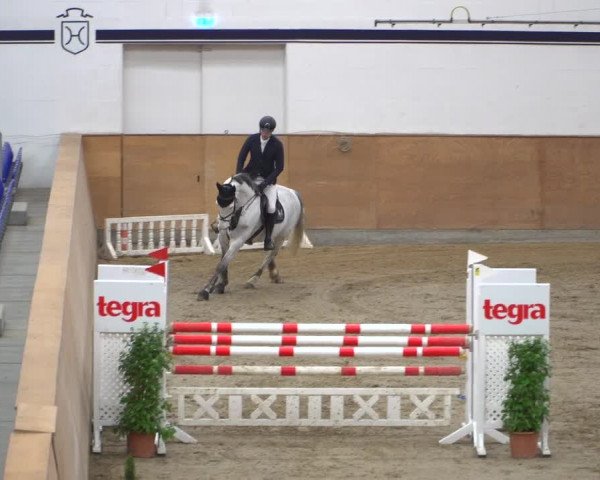 Reitturnier Elmshorn 2020