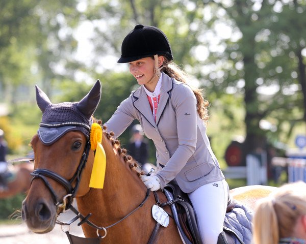 Springpferd Der kleine Sam (Westfale, 2008, von Donaugold 2)