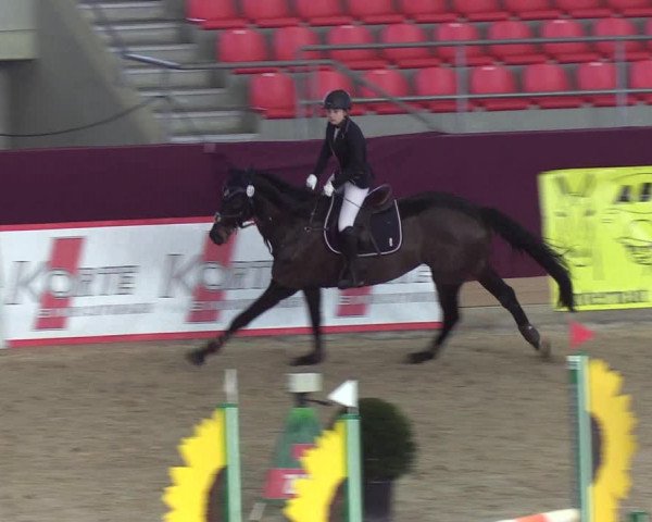 Reitturnier Neustadt/Dosse - Lindenau-Halle 2020