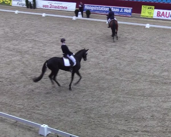 Reitturnier Neustadt/Dosse - Lindenau-Halle 2020