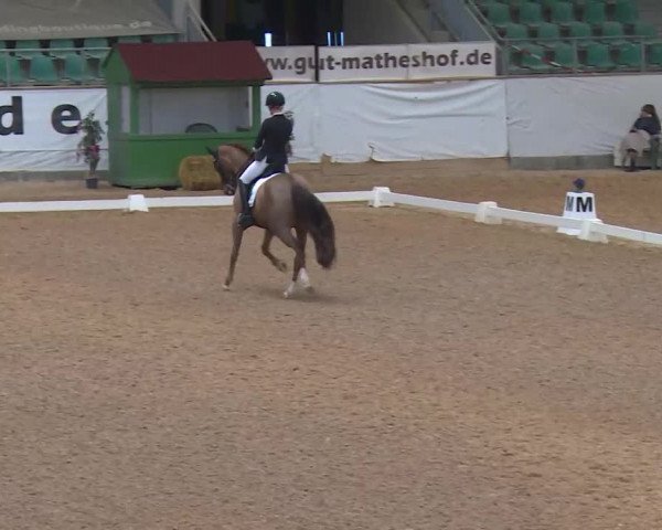Reitturnier Kreuth/Opf. 2020