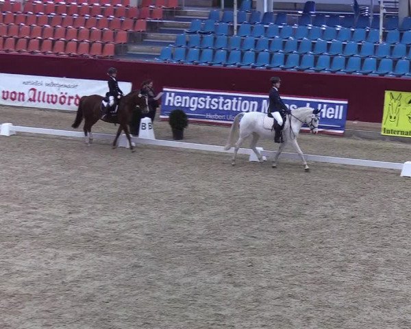 Reitturnier Neustadt/Dosse - Lindenau-Halle 2020