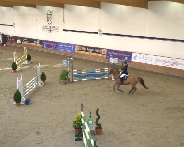 Reitturnier Elmshorn 2020