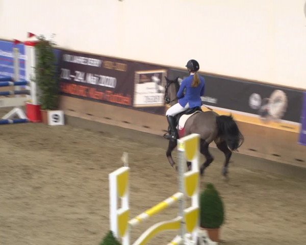 Reitturnier Elmshorn 2020