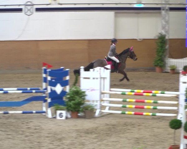 Reitturnier Elmshorn 2020