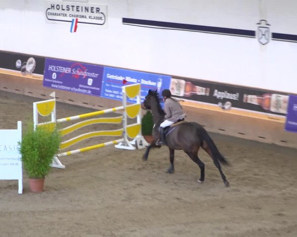 Reitturnier Elmshorn 2020