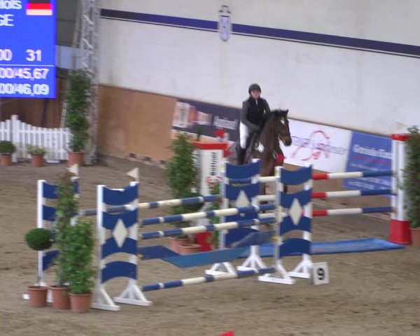 Reitturnier Elmshorn 2020