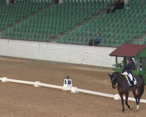 Reitturnier Kreuth/Opf. 2020
