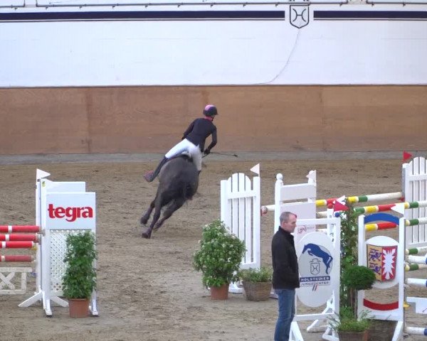 Reitturnier Elmshorn 2020