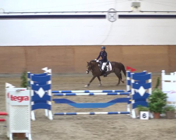 Reitturnier Elmshorn 2020