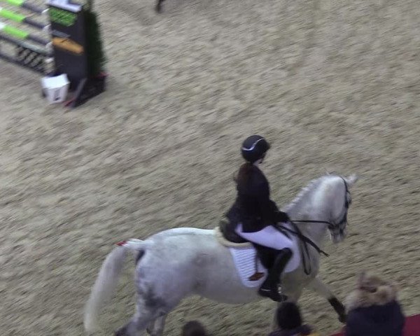Reitturnier Neustadt/Dosse - Lindenau-Halle 2020