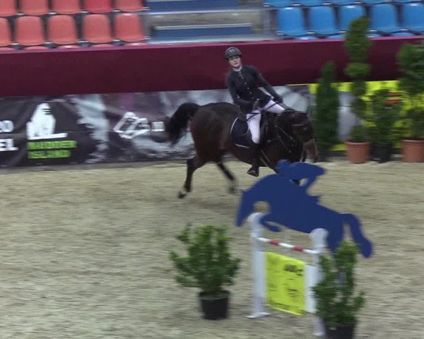 Reitturnier Neustadt/Dosse - Lindenau-Halle 2020