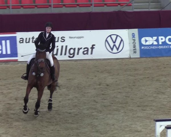 Reitturnier Neustadt/Dosse - Lindenau-Halle 2020