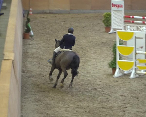 Reitturnier Elmshorn 2020