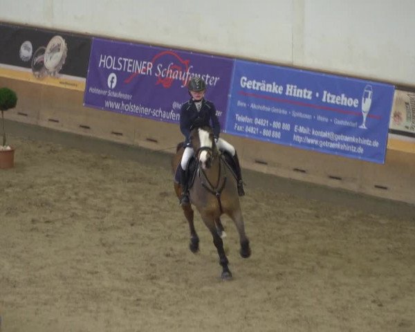 Reitturnier Elmshorn 2020