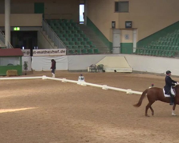 Reitturnier Kreuth/Opf. 2020