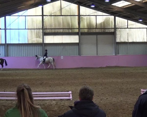Reitturnier Troisdorf - Haus Rott 2020