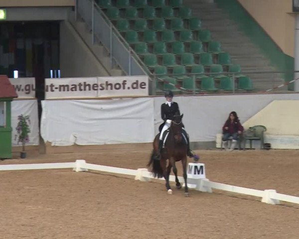 Reitturnier Kreuth/Opf. 2020