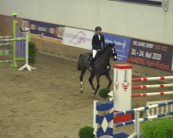 Reitturnier Elmshorn 2020