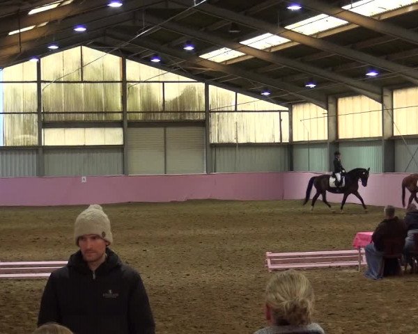 Reitturnier Troisdorf - Haus Rott 2020