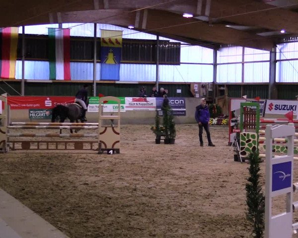 Reitturnier Velen 2020