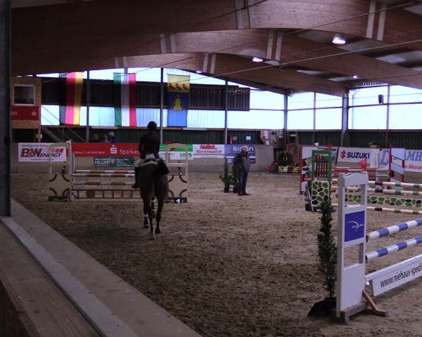 Reitturnier Velen 2020
