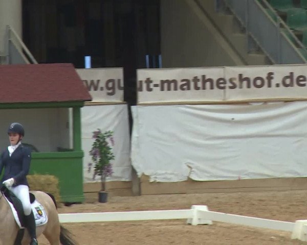 Reitturnier Kreuth/Opf. 2020