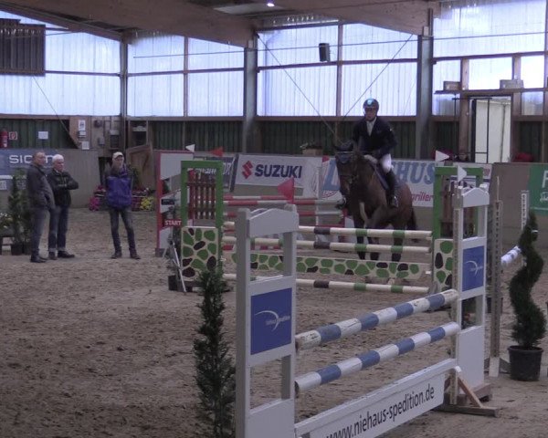 Reitturnier Velen 2020