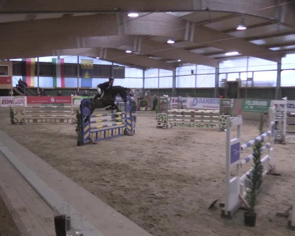 Reitturnier Velen 2020