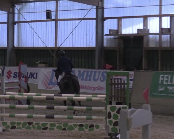 Reitturnier Velen 2020