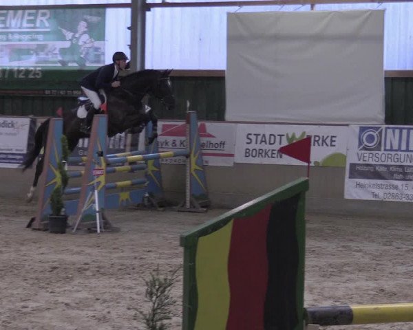 Reitturnier Velen 2020