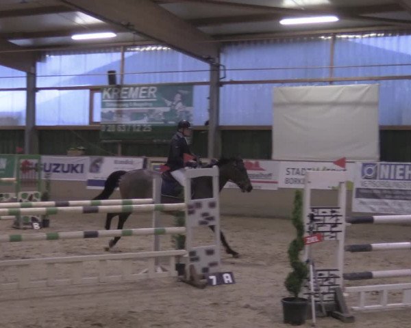 Reitturnier Velen 2020