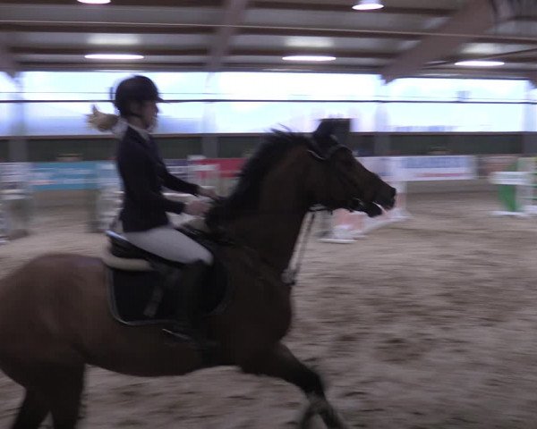 Reitturnier Velen 2020