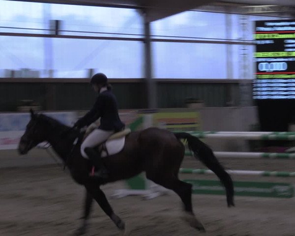 Reitturnier Velen 2020