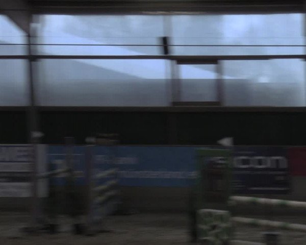 Reitturnier Velen 2020