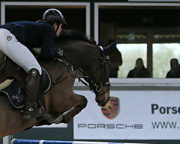 Springpferd Sweet little baker (Westfale, 2005, von Stakkato Gold)