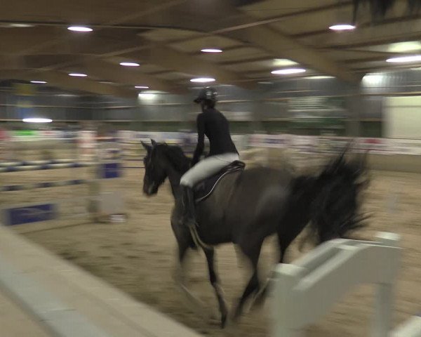Reitturnier Velen 2020