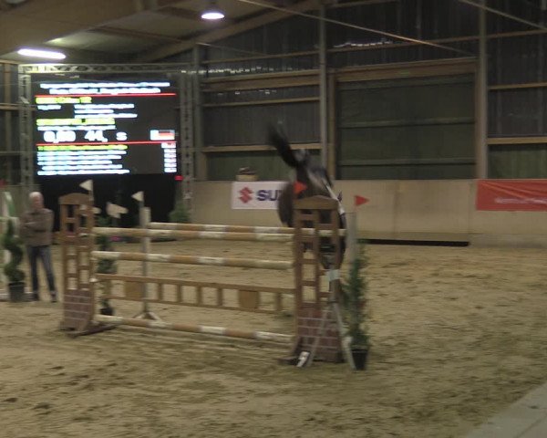 Reitturnier Velen 2020