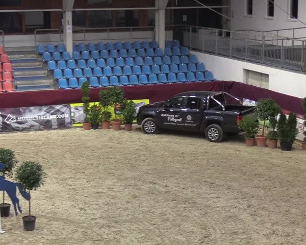 Reitturnier Neustadt/Dosse - Lindenau-Halle 2020