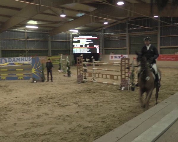 Reitturnier Velen 2020