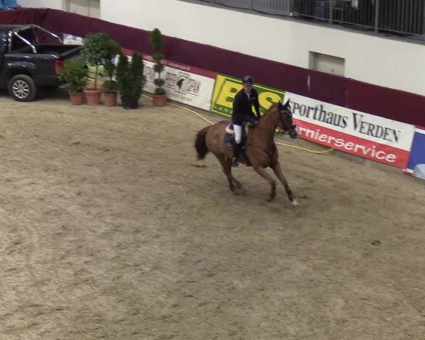 Reitturnier Neustadt/Dosse - Lindenau-Halle 2020